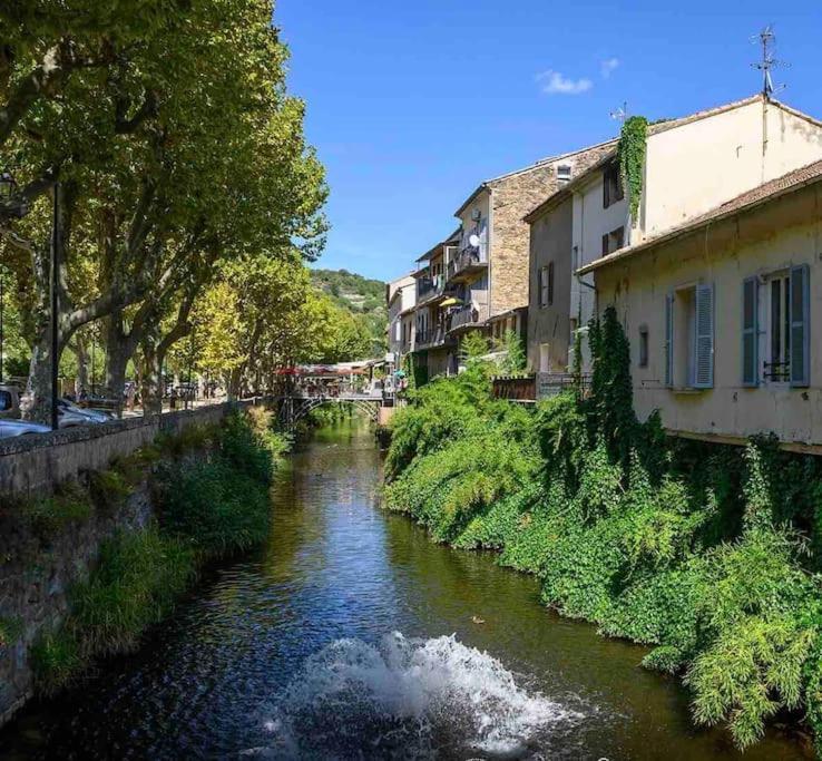 Le Palm Appartement Elegant & Design En Bord Riviere Collobrieres Bagian luar foto